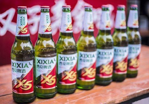 国产进口啤酒视频大全,视频大全带你领略全球风味