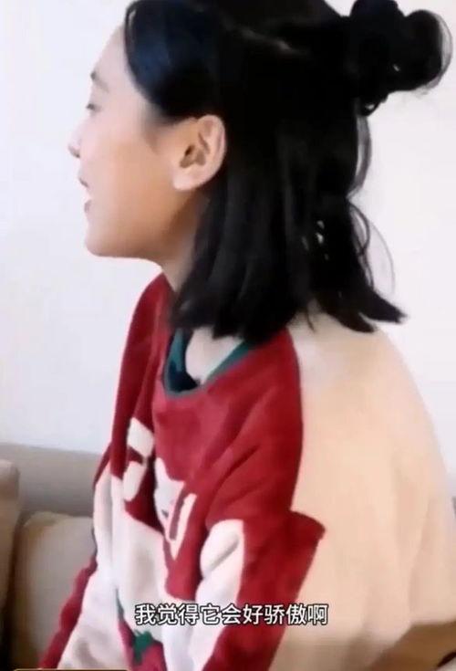 国产刘玥视频网站,热门内容与用户评价一览