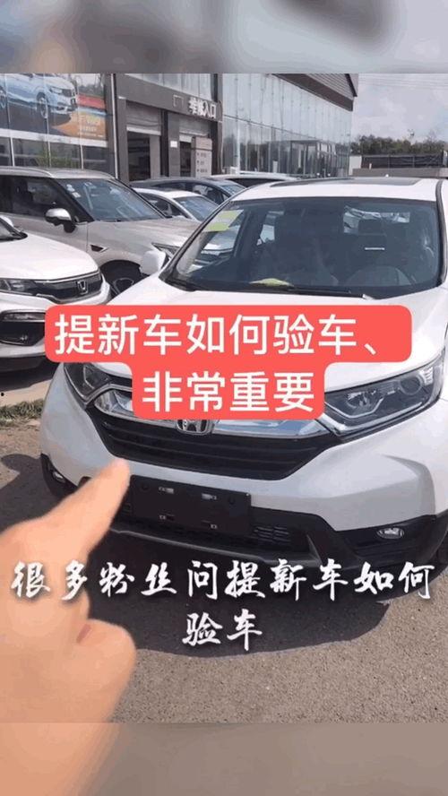 国产车试驾视频比拼,性能与品质的较量