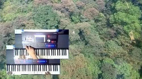 国产电子琴演奏音乐视频